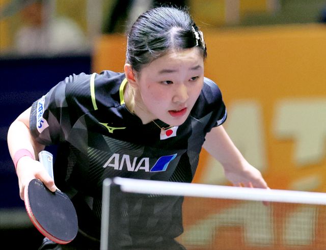 的成长道路 的成长道路